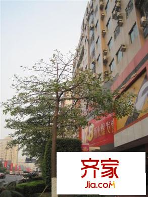 華聯(lián)大廈外景圖  