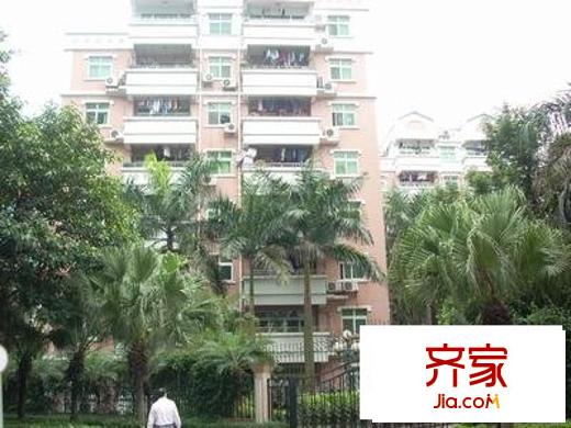 金豐花園外景圖 