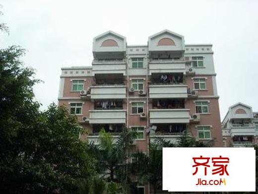 金豐花園外景圖 