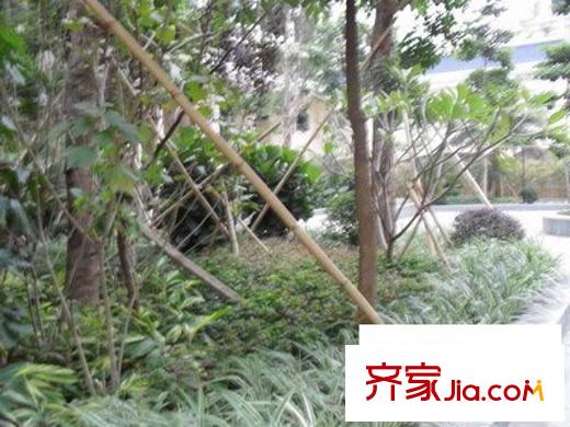 富康豪庭配套圖一期 周邊配套
