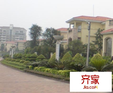 御花苑外景圖 