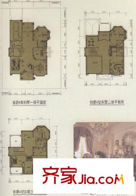 三正世紀豪門  5室 戶型圖