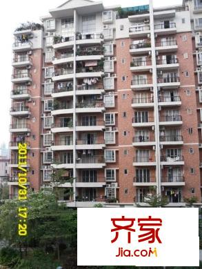 黃金花園外景圖 