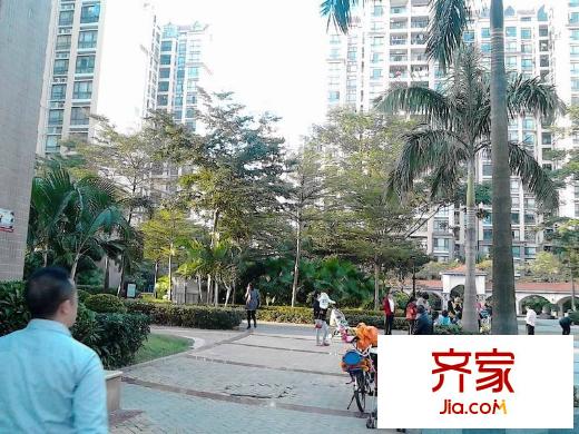 風臨花語岸外景圖 