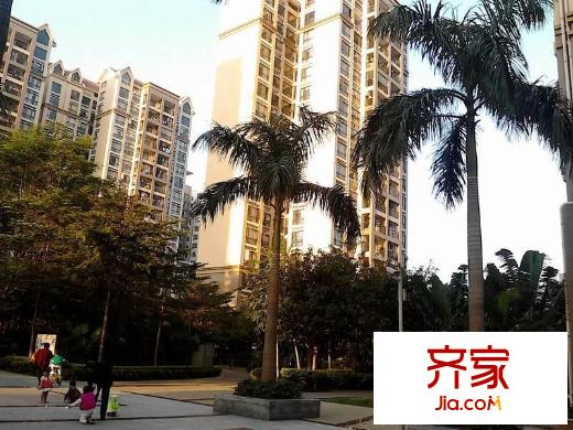 風臨花語岸外景圖 