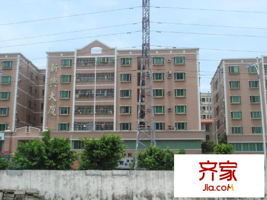 新興大廈外景圖 