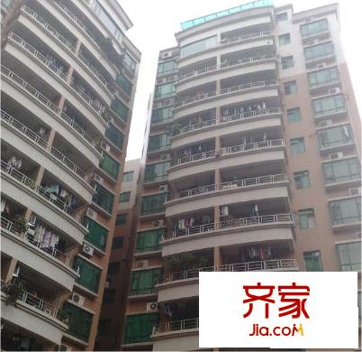 竹洲豪苑外景圖 