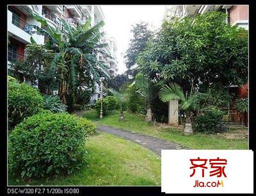 帝豪花園三期外景圖 