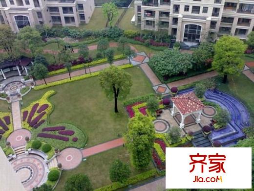 森林湖香樟林外景圖中信 