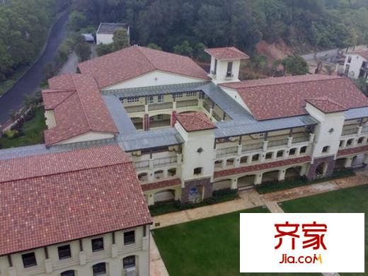森林湖香樟林外景圖中信 