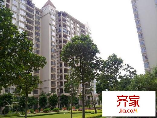 森林湖香樟林外景圖中信 