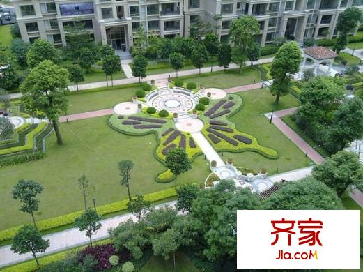 森林湖香樟林外景圖中信 