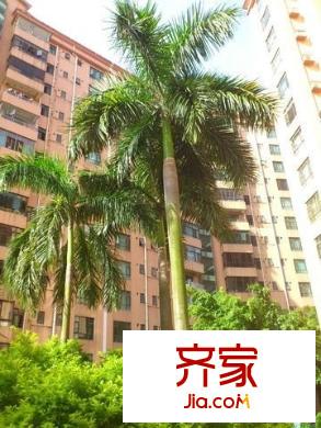 富民花園外景圖 