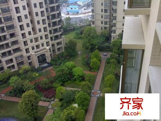 森林湖香樟林外景圖中信 
