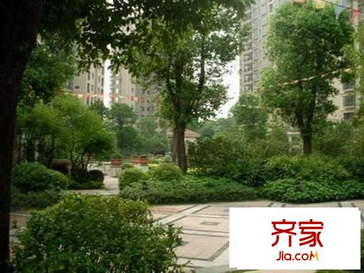 森林湖香樟林外景圖中信 