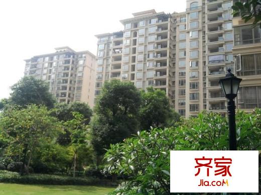 森林湖香樟林外景圖中信 
