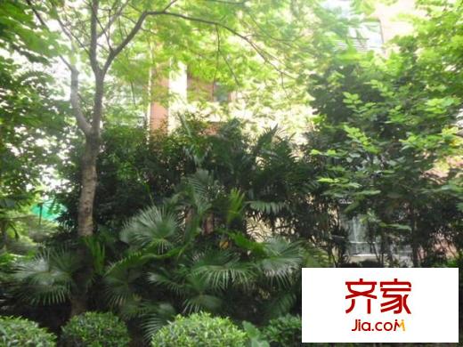 理想0769沁園外景圖 