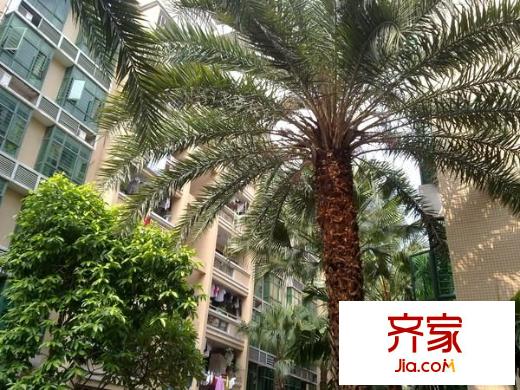 錦江花園外景圖 