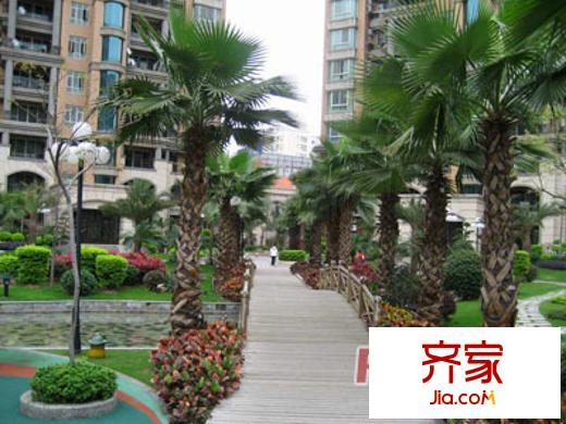 棕櫚泉外景圖 