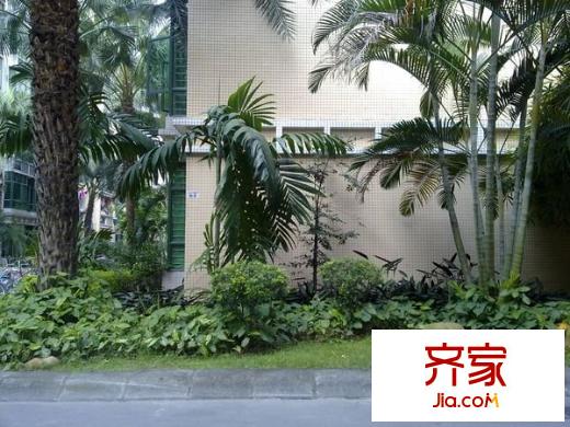 錦江花園外景圖 