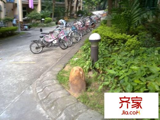 錦江花園外景圖 