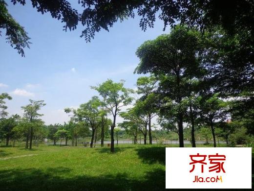 豐泰觀山碧水花園外景圖豐泰觀山花園 