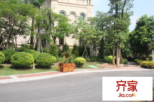 富通圣堤雅實景圖小區(qū)園林（2014-9-3）