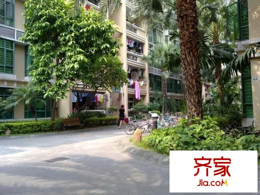 錦江花園外景圖 
