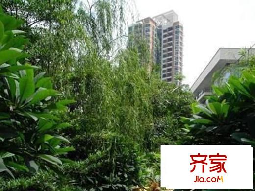 棕櫚泉外景圖 