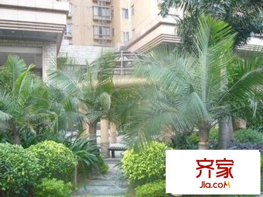 金色陽光外景圖