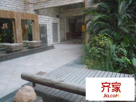 金色陽光外景圖