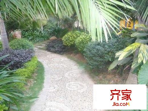 金色陽光外景圖