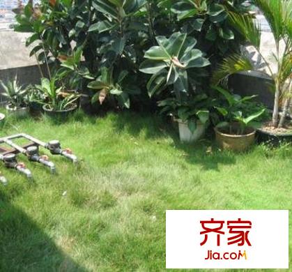 富怡花園外景圖 