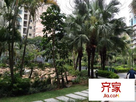 景湖春天