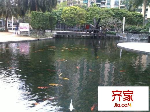 金月灣花園外景圖一期 
