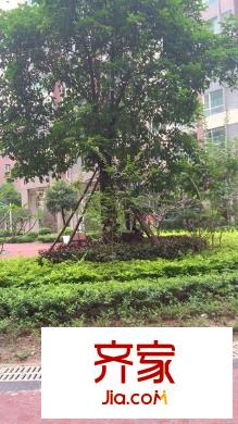 鼎盛中環(huán)外景圖 