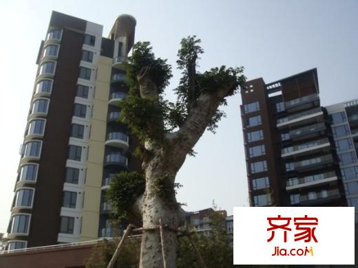 長城世家外景圖 