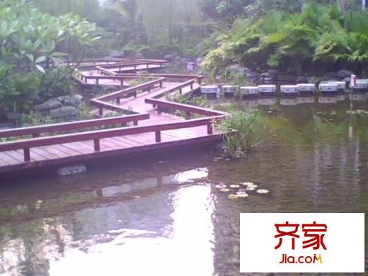 星河傳說聚星島A區(qū)外景圖星河傳說 