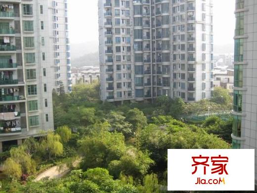 星河傳說聚星島A區(qū)外景圖 