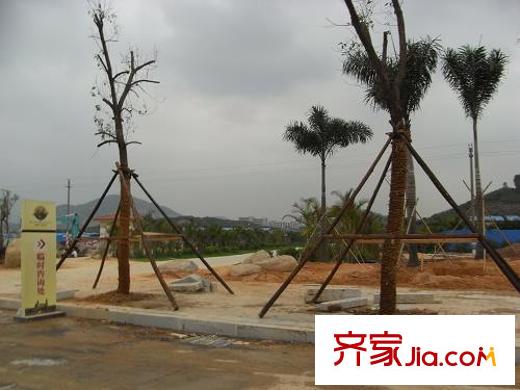 綠茵溫莎堡配套圖入口道路