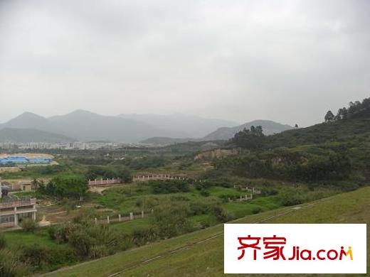 綠茵溫莎堡配套圖往西100米山景