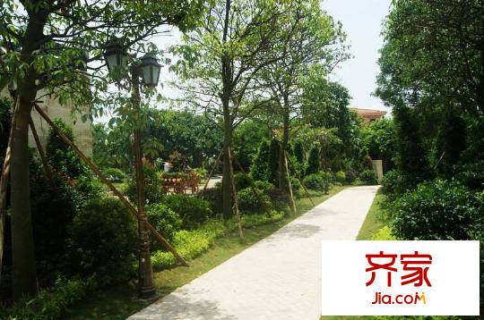 綠茵溫莎堡實景圖小區(qū)園林（2012-06-08）