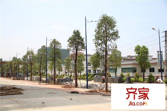 翡翠山湖三期臻萃園小區(qū)外馬路（2015-10-12）