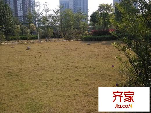 地標(biāo)廣場外景圖二期天譽(yù) 