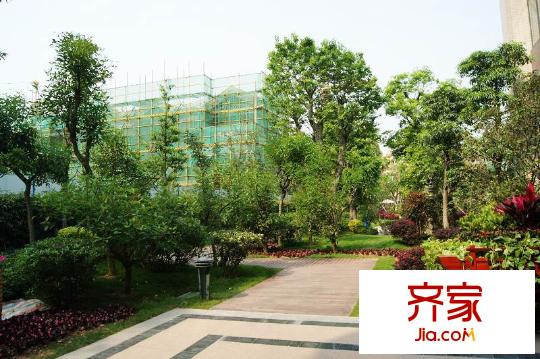 保利紅珊瑚實景圖小區(qū)園林（2012-3-27）