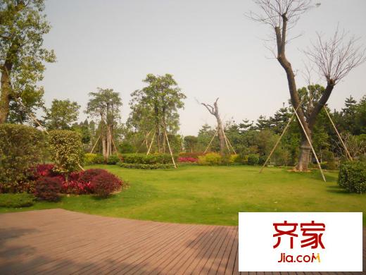 保利紅珊瑚實景圖園林植被（2012-03-27）