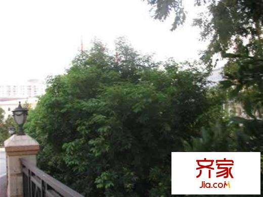 嘉多利山花園別墅外景圖嘉多利山花園