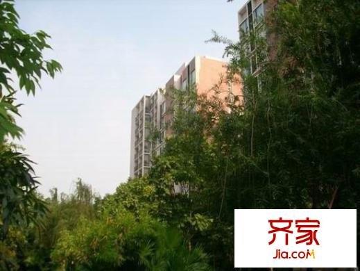 金地格林小城外景圖 