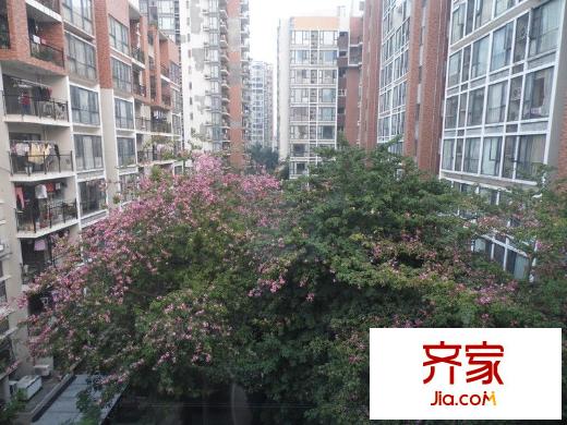 金地格林小城外景圖 