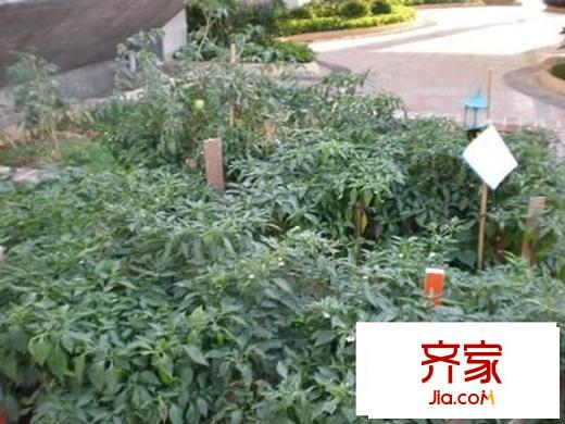 景湖灣畔別墅外景圖 